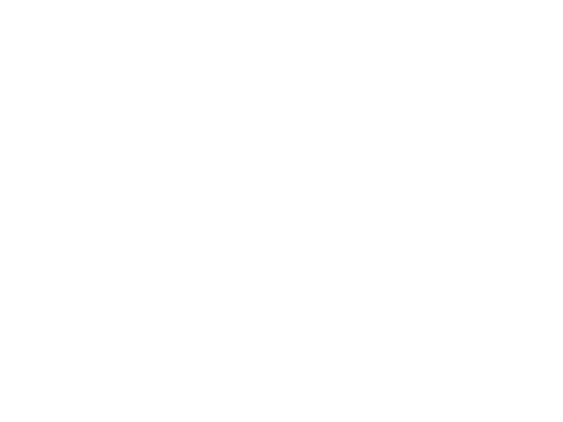 Network