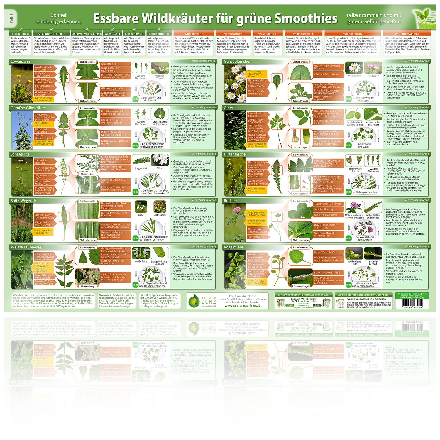 Poster-Cover-Essbare-Wildkraeuter-Teil-1-.jpg