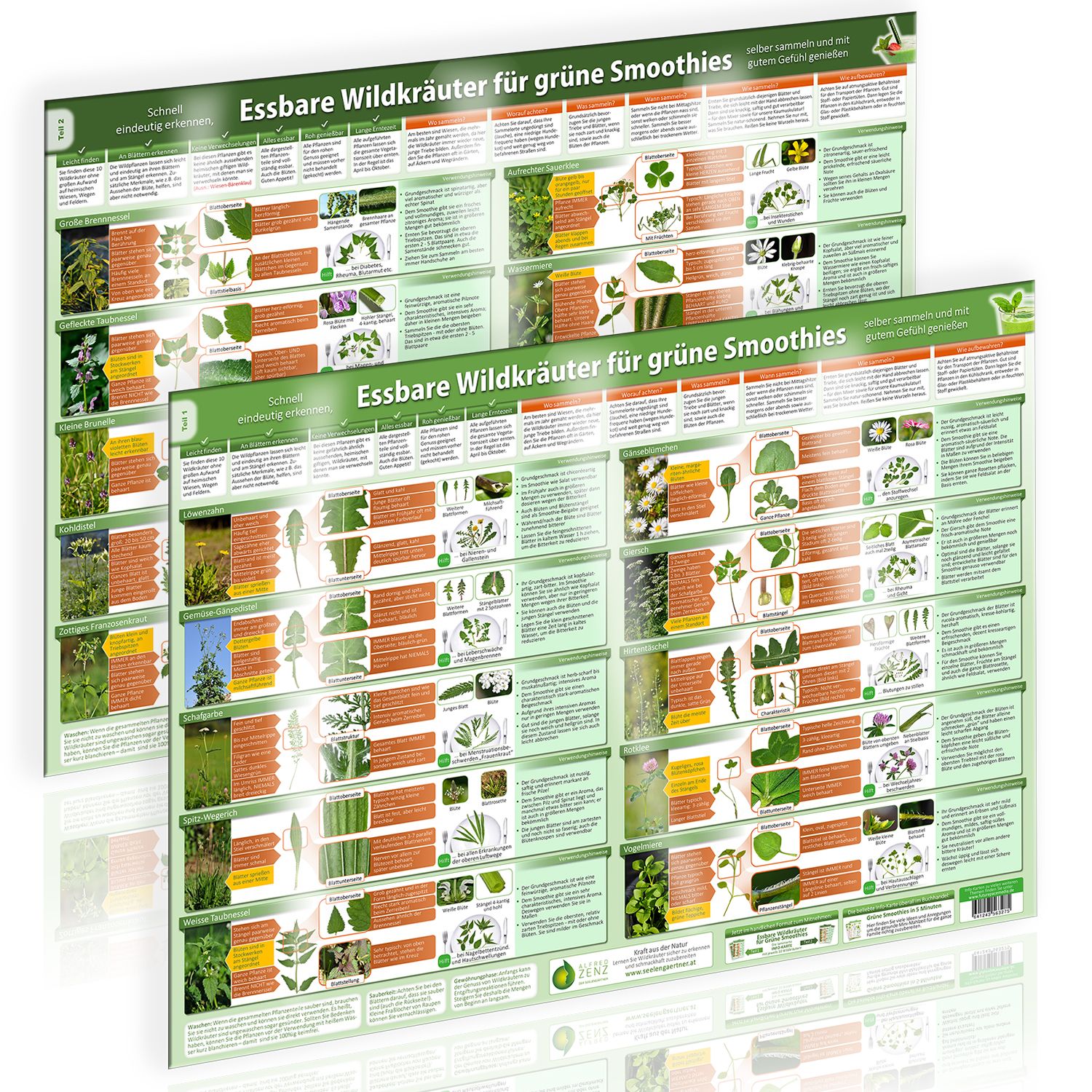 Poster-Set-Cover-Essbare-Wildkraeuter-Teil-1-und-2-und-.jpg